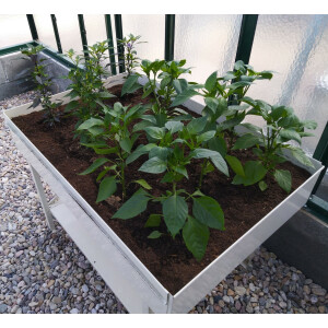 Tischbeet L, 118 x 82 x 81 cm (B x L x H)