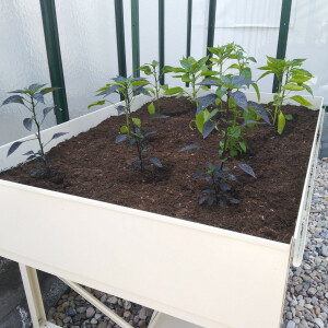 Tischbeet L, 118 x 82 x 81 cm (B x L x H)