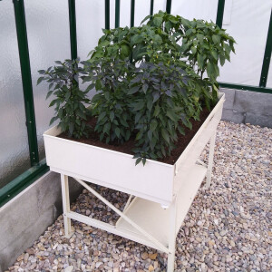 Tischbeet L, 118 x 82 x 81 cm (B x L x H)