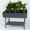 Tischbeet L, 118 x 82 x 81 cm (B x L x H)