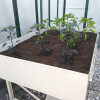 Tischbeet L, 118 x 82 x 81 cm (B x L x H)