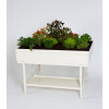 Tischbeet L, 118 x 82 x 81 cm (B x L x H)