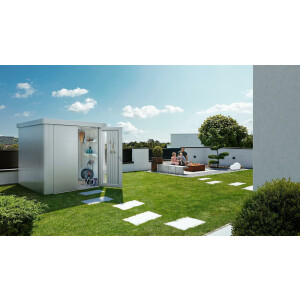 Neo Gerätehaus 1A Standardtür, silber-metallic