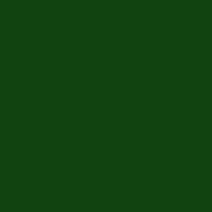 Farbe Moosgrün RAL 6005,Kärnten 5