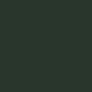 Farbe Tannengrün RAL 6009,Junior 4