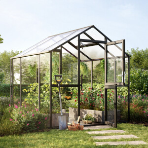 Gewächshaus Aptasia 4 mm Glas